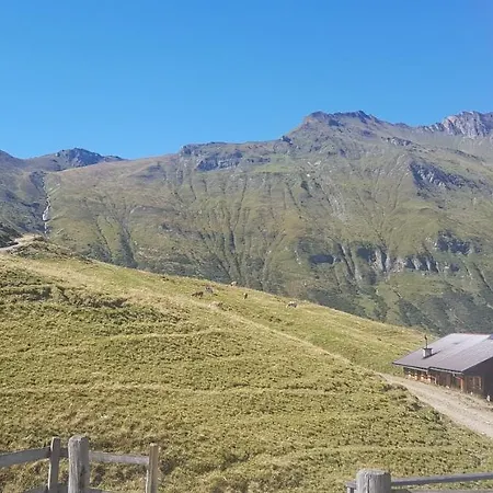 Alpenpanorama